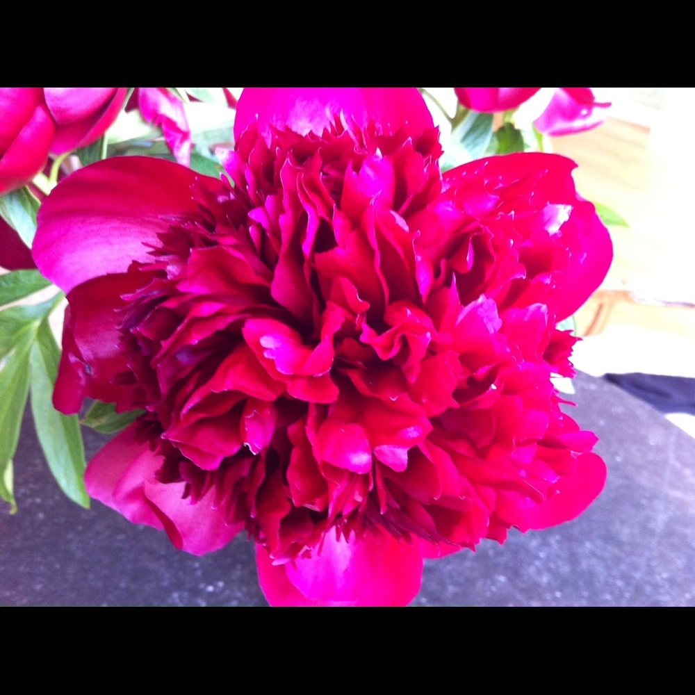 Meet your Posher, Sharon